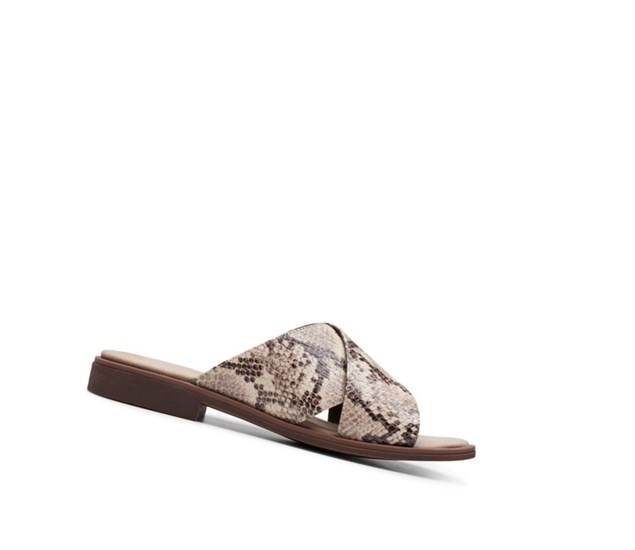 Clarks Declan Ivy Slapky Damske Béžové Had | SPCM-59102