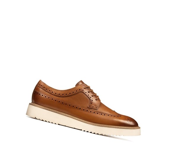 Clarks Ernest Limit Kozene Brogue Topanky Panske Hnede | QNIB-84502
