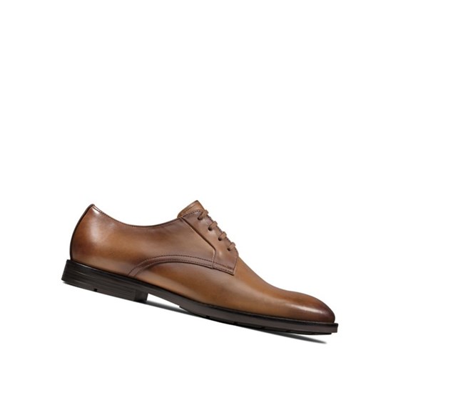 Clarks Ronnie Walk Kozene Vychadzkove Topanky Panske Hnede | PZXE-90572