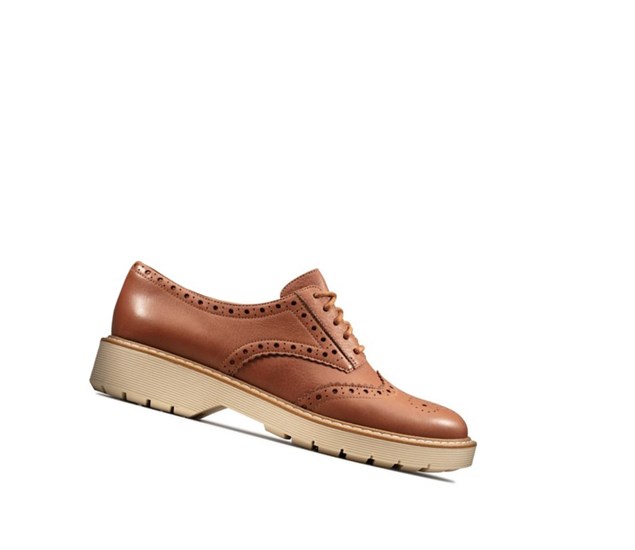 Clarks Witcombe Echo Kozene Vychadzkove Topanky Damske Hnede | OKIV-34189